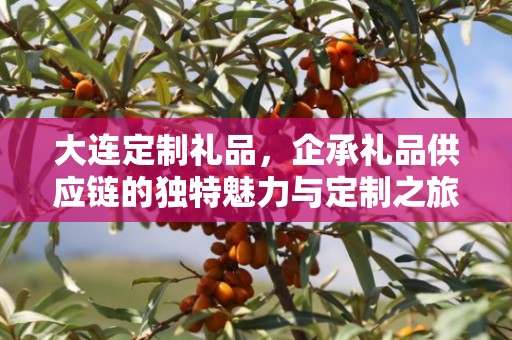 大连定制礼品，企承礼品供应链的独特魅力与定制之旅